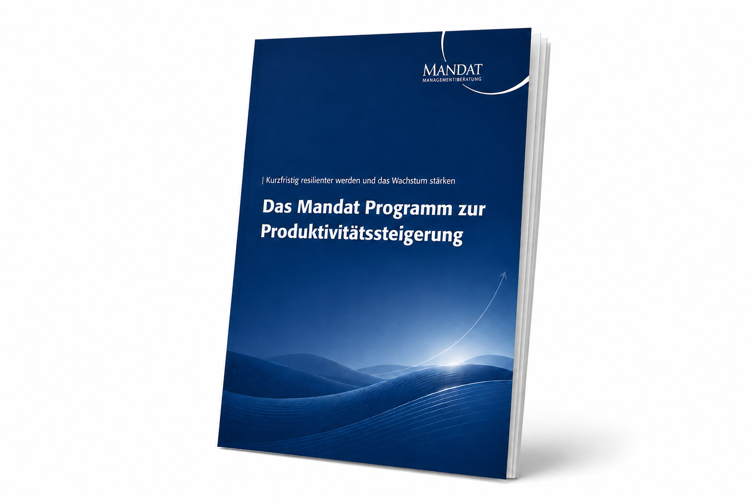 Cover zur Beschreibung - Das Mandat Programm zur Produktivitätssteigerung